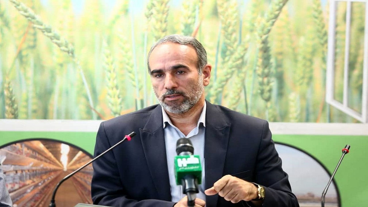 کشاورزان قمی از گیاهان مقاوم به کم آبی و شوری استفاده می‌کنند