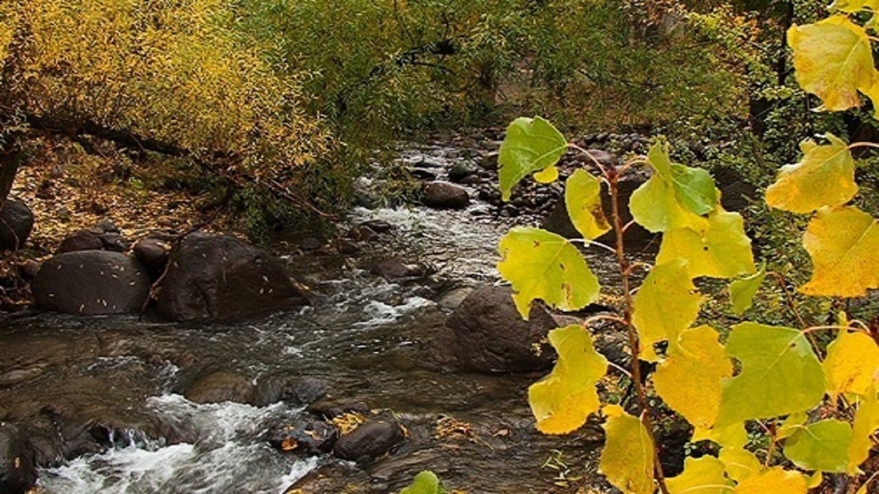 زیبایی فصل هزار رنگ در مراغه