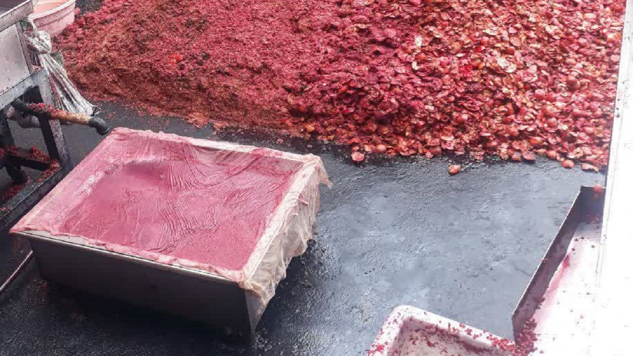 پلمب یک انبار بزرگ فرآورده های غیر بهداشتی انار در قم