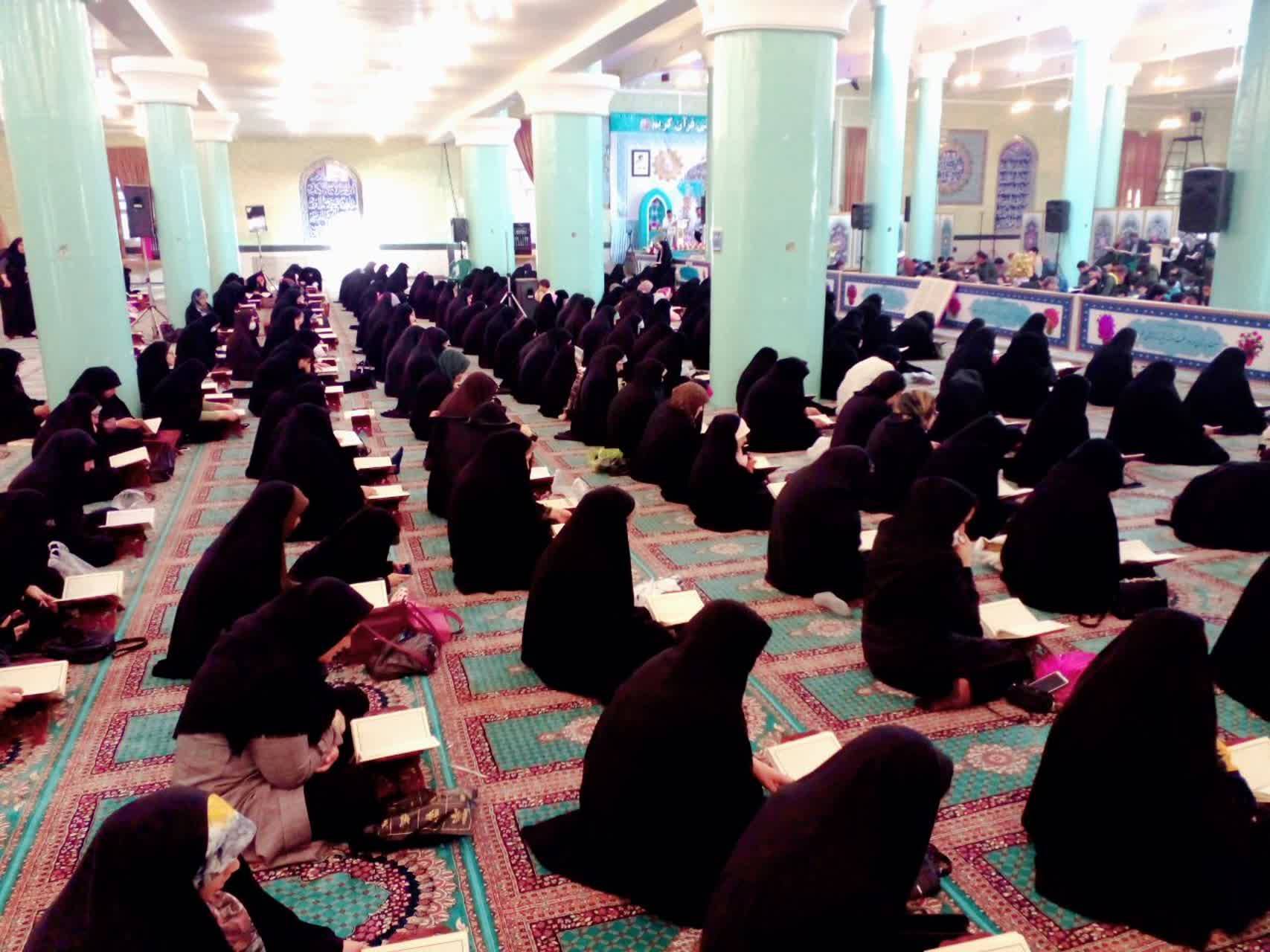 انس گرفتن تکابی ها با قرآن در بهار طبیعت + تصاویر