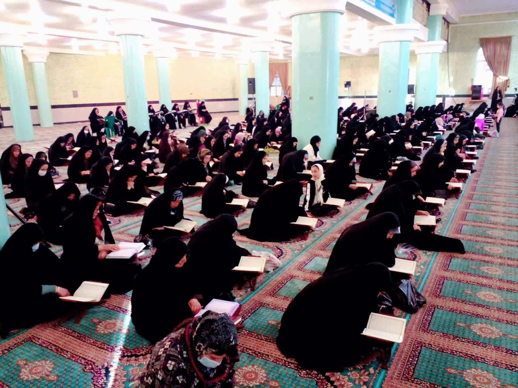 انس گرفتن تکابی ها با قرآن در بهار طبیعت + تصاویر