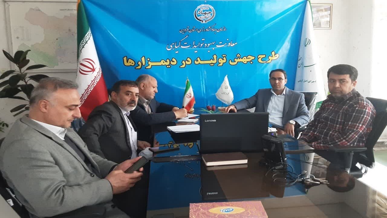 تحقق ۸۶ درصد طرح جهش تولید در دیمزار‌های استان قزوین