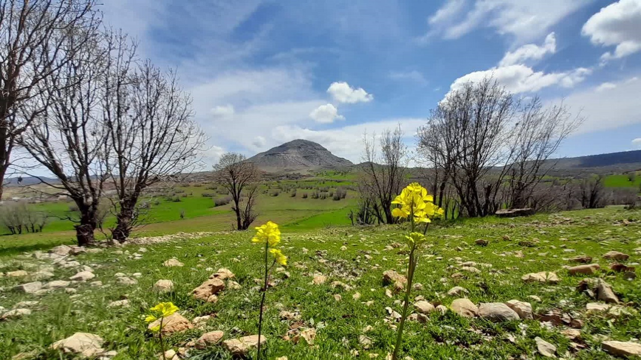 نگاهی به دشت سرسبز روستای قرعلیوند + تصاویر