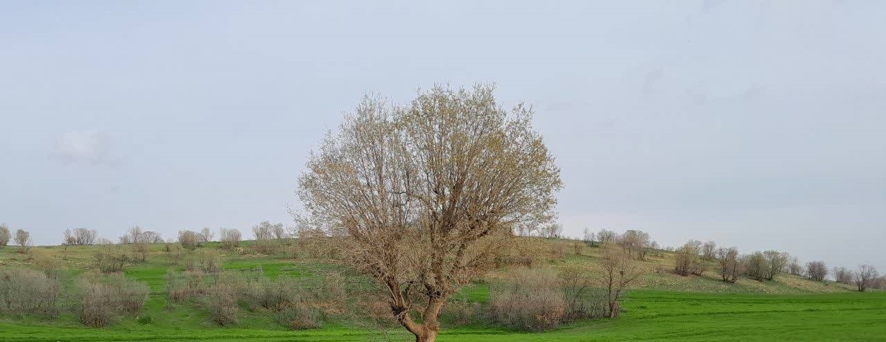 از