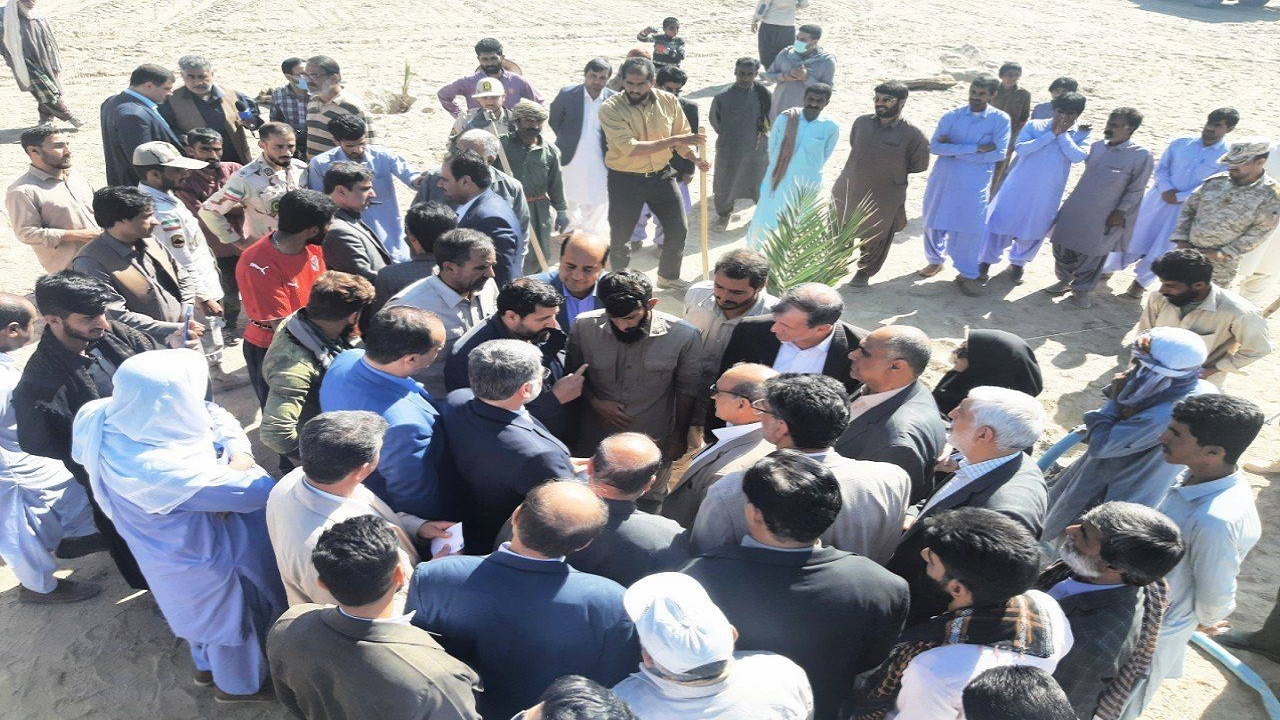 بی نیازی کشور به واردات موز در گروی افزایش سطح موزستان در استان سیستان و بلوچستان