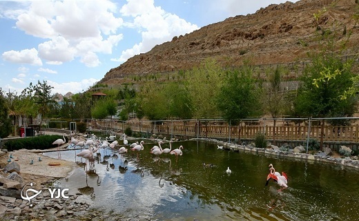 گشت و گذار در باغ پرندگان قم