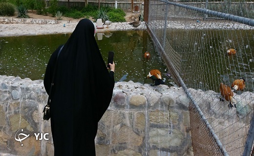 گشت و گذار در باغ پرندگان قم