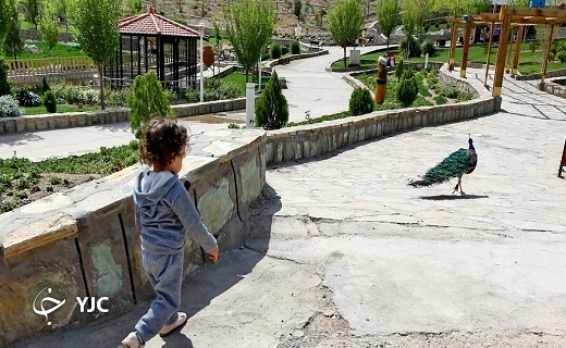 گشت و گذار در باغ پرندگان قم