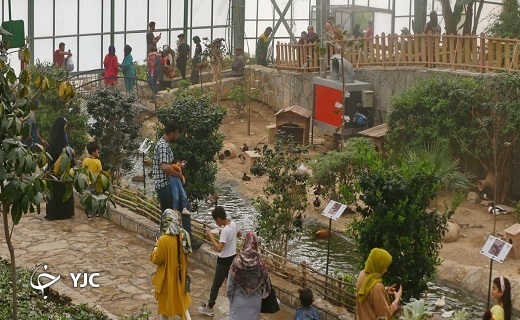 گشت و گذار در باغ پرندگان قم