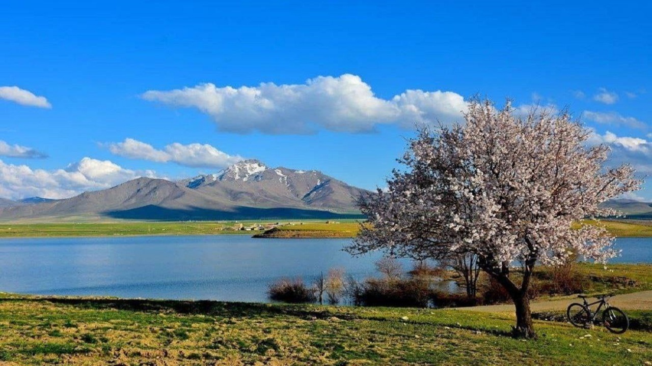 منظره بهاری از
