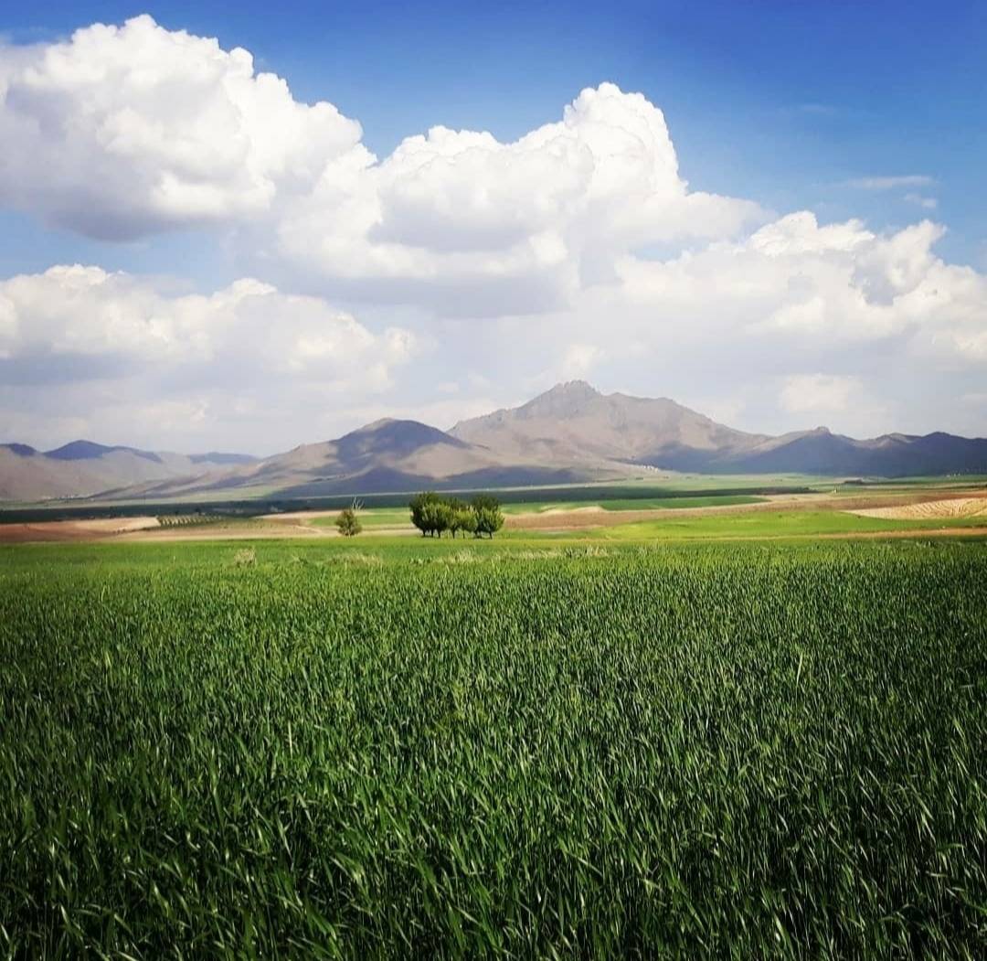 بهار در دشت لیلاخ از