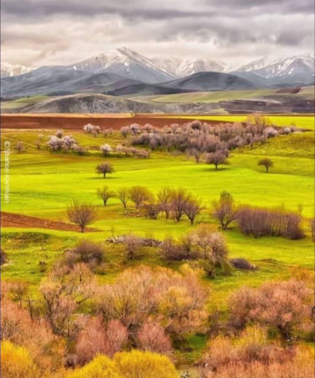 دشت سرسبز لیلاخ از