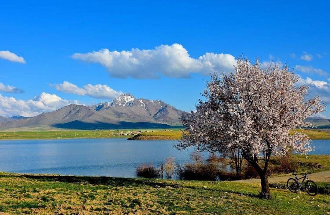 طبیعت بهار از