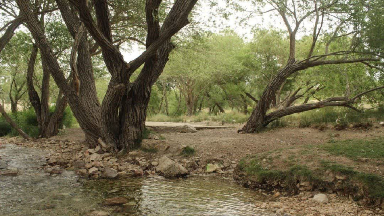 سرچشمه نهر مسیح هرات پذیرای مسافران نوروزی