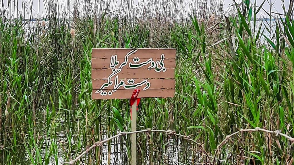 از