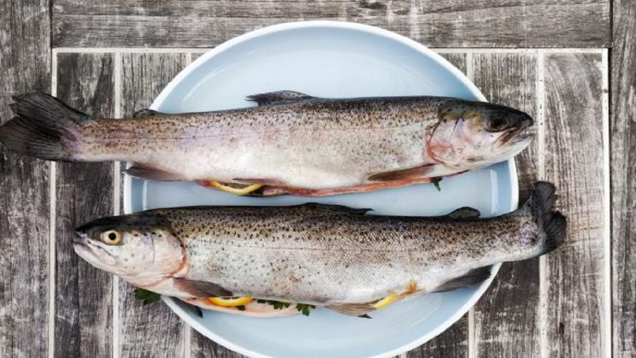 آیا پوست ماهی قابل خوردن است؟