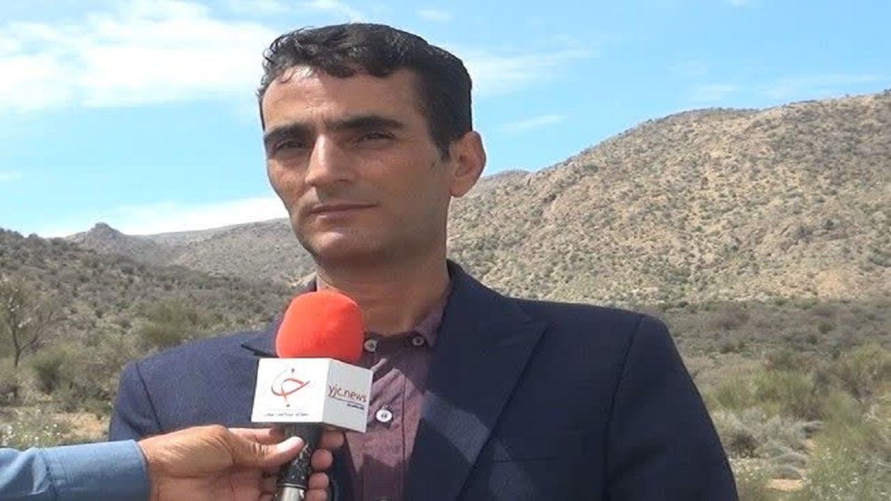 جنگل باغ شادی نگینی سبز در دل کویر