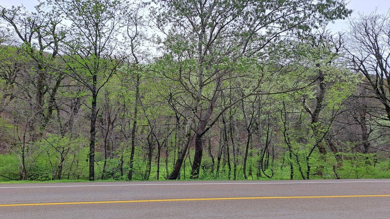 نگاهی به بکرترین روستای خراسان شمالی در قاب تصاویر شهروند خبرنگار