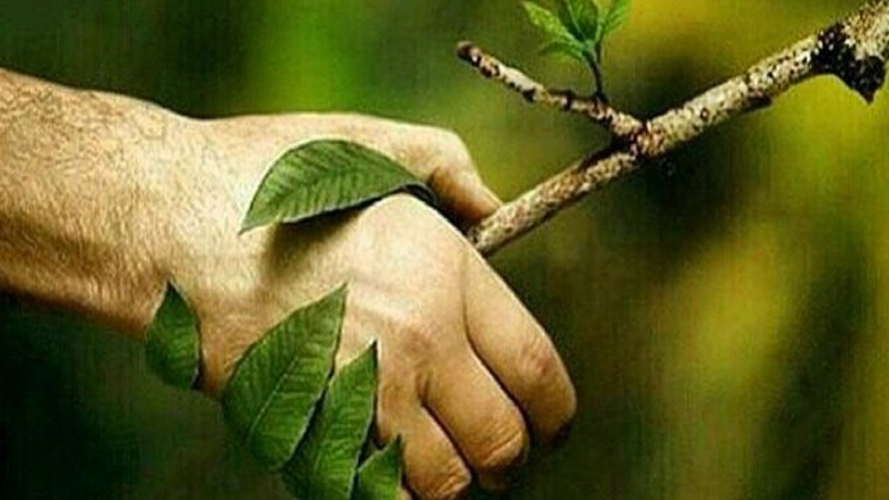 در روز طبیعت با طبیعت مهربان باشیم