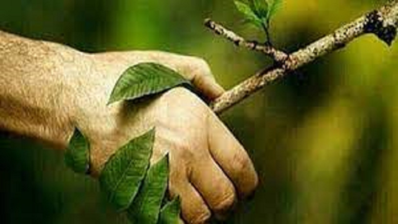 در روز طبیعت هوای طبیعت را داشته باشیم