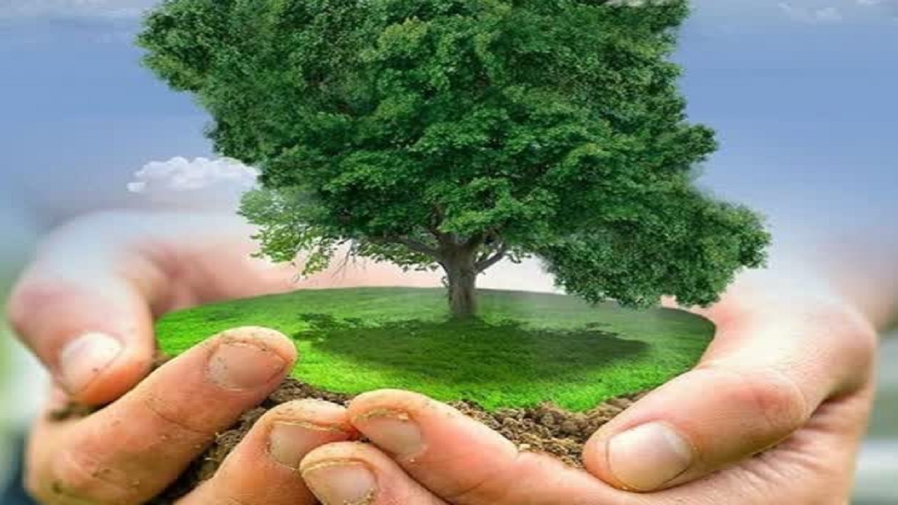 طبیعت معلم انسان و مدرسه عبرت است