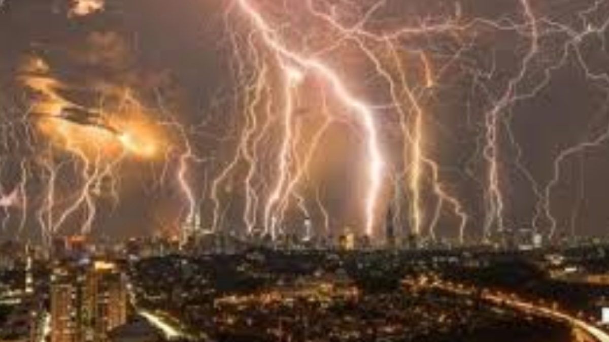 وقتی آشپزی فردی باعث فرار سگ می شود! + فیلم
