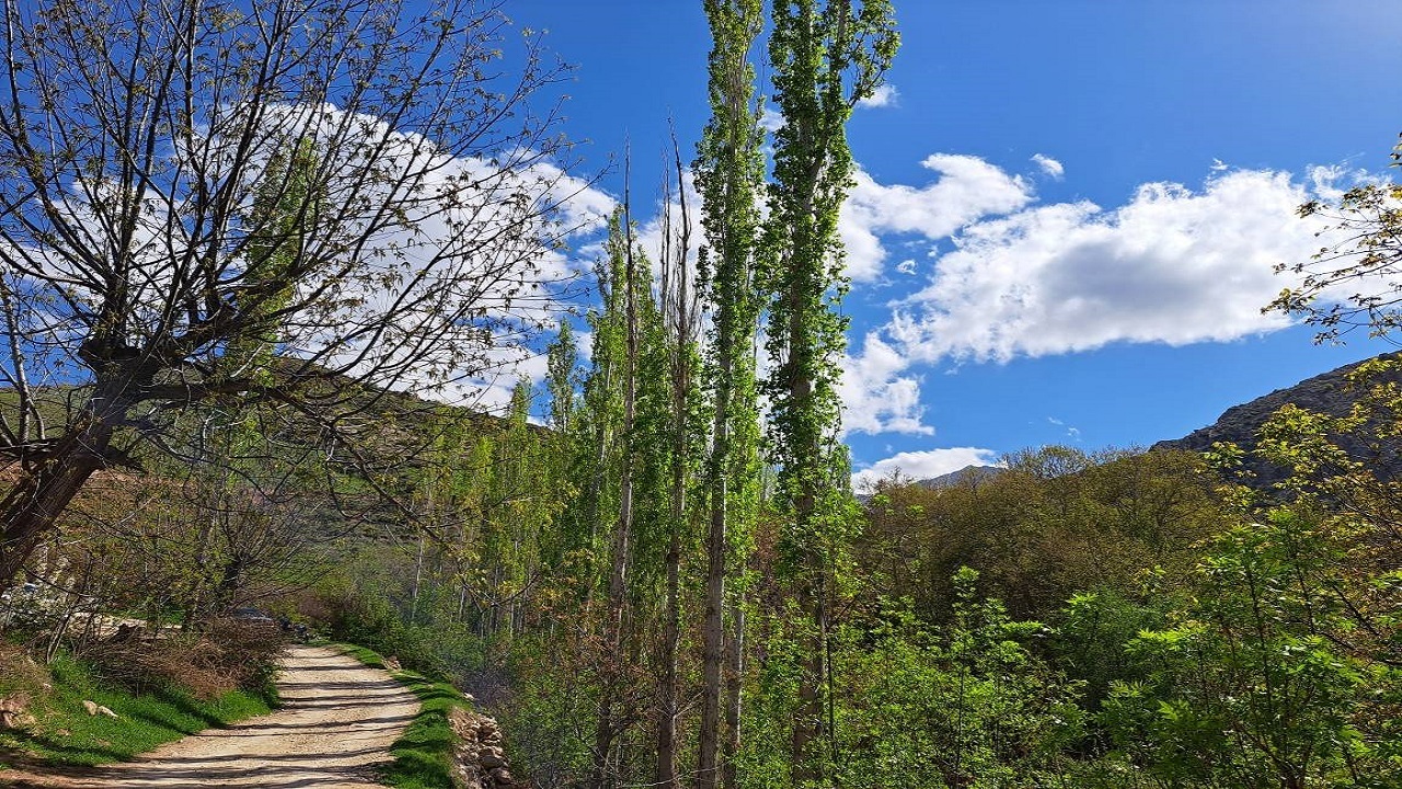 چشم اندازی زیبا از دامان طبیعت روستای درکش آشخانه + تصاویر