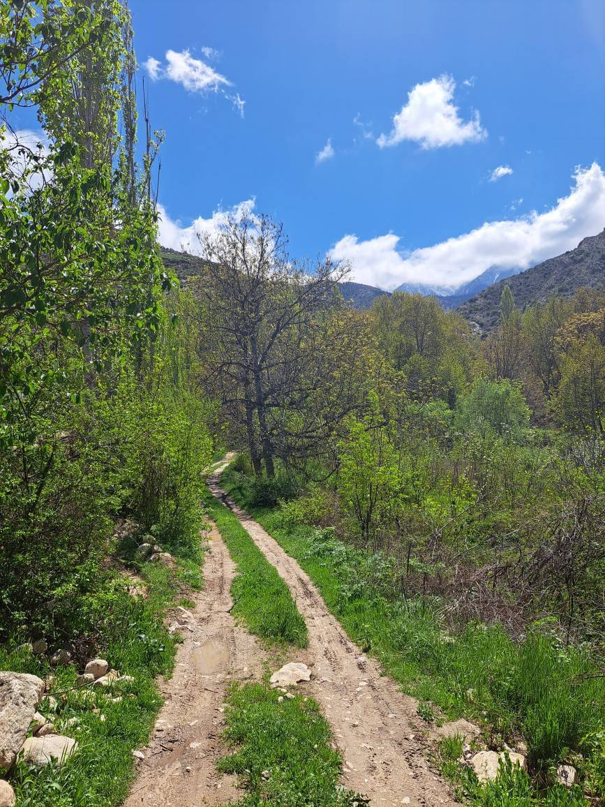 جاذبه های طبیعی