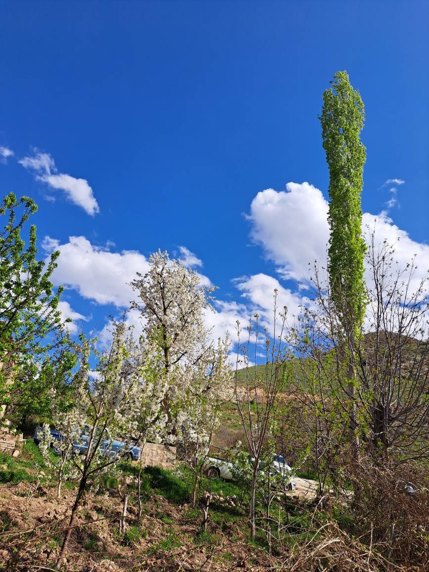 طبیعت گردی