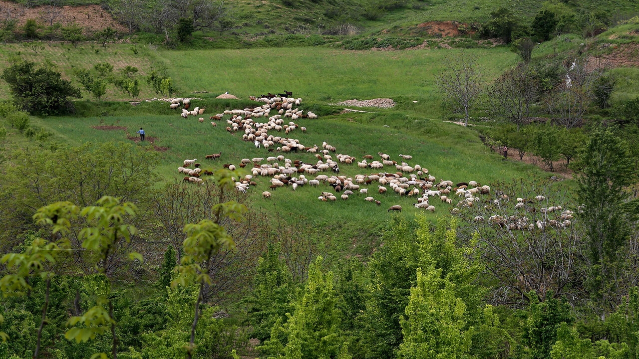 طبیعت زیبای بهار در خراسان شمالی