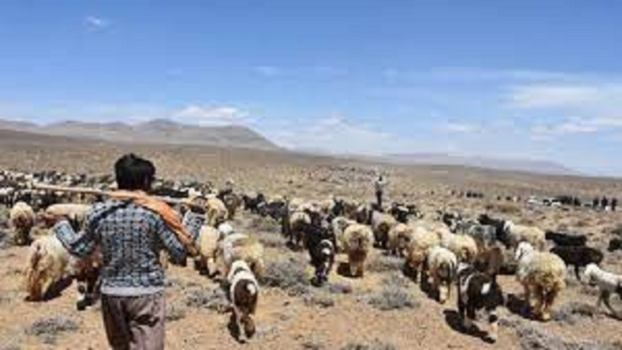 زمان آغاز کوچ عشایر کهگیلویه و بویراحمد ۲۰ اردیبهشت اعلام شد