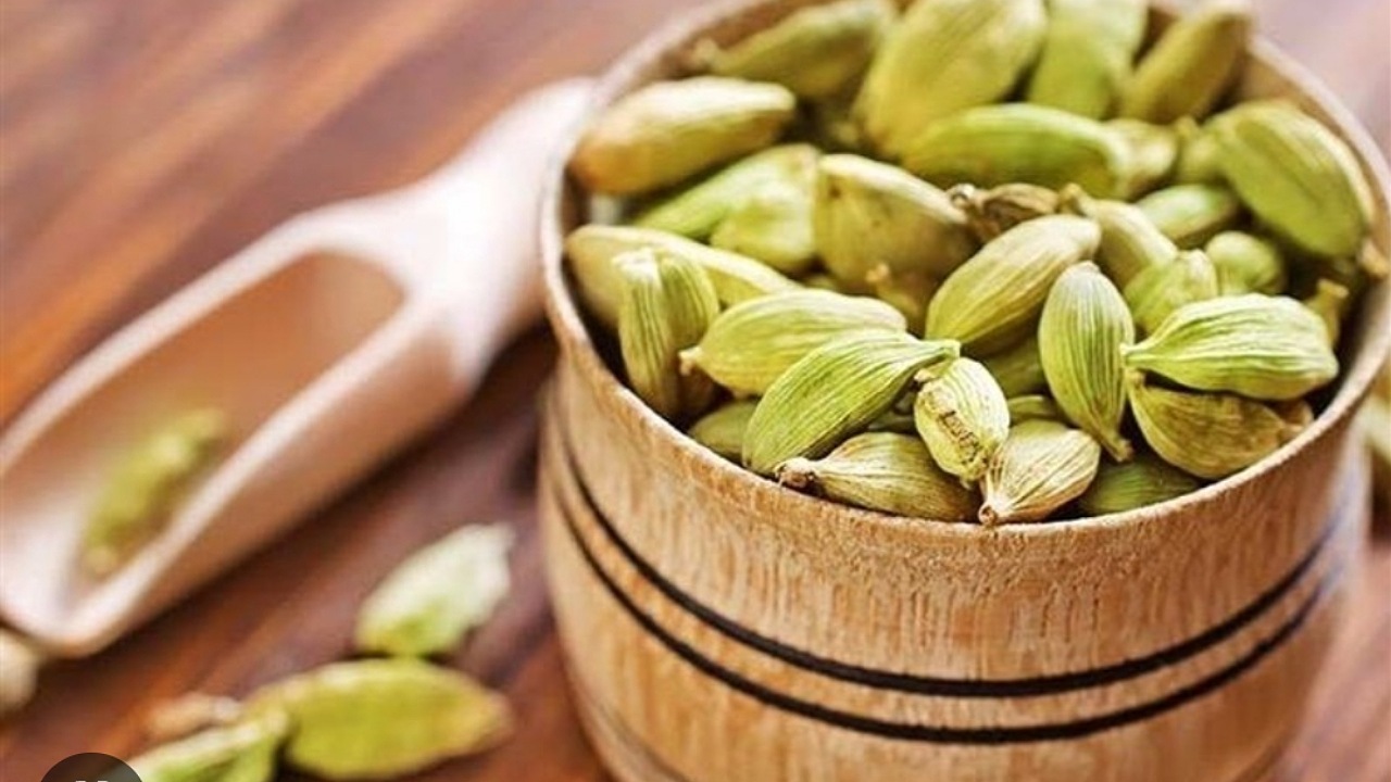 هل؛ سالم ترین مسکن دنیا