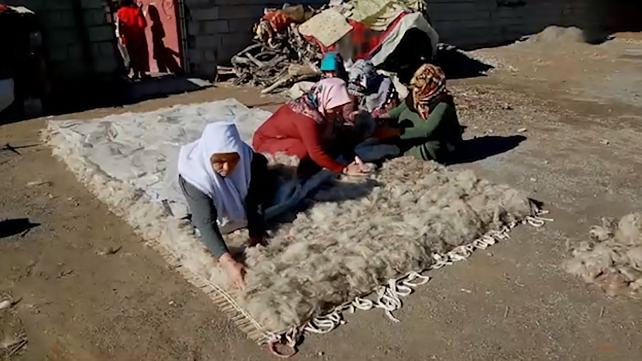 تاریخچه درست کردن فرش نمد + فیلم