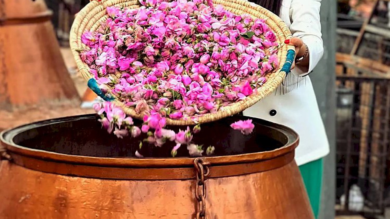 پرونده ثبت جهانى ميراث ناملموس گلاب‌گيری سنتی ايران به يونسكو ارسال شد