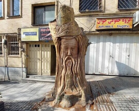 بقایای چنار ۳۵۰ ساله