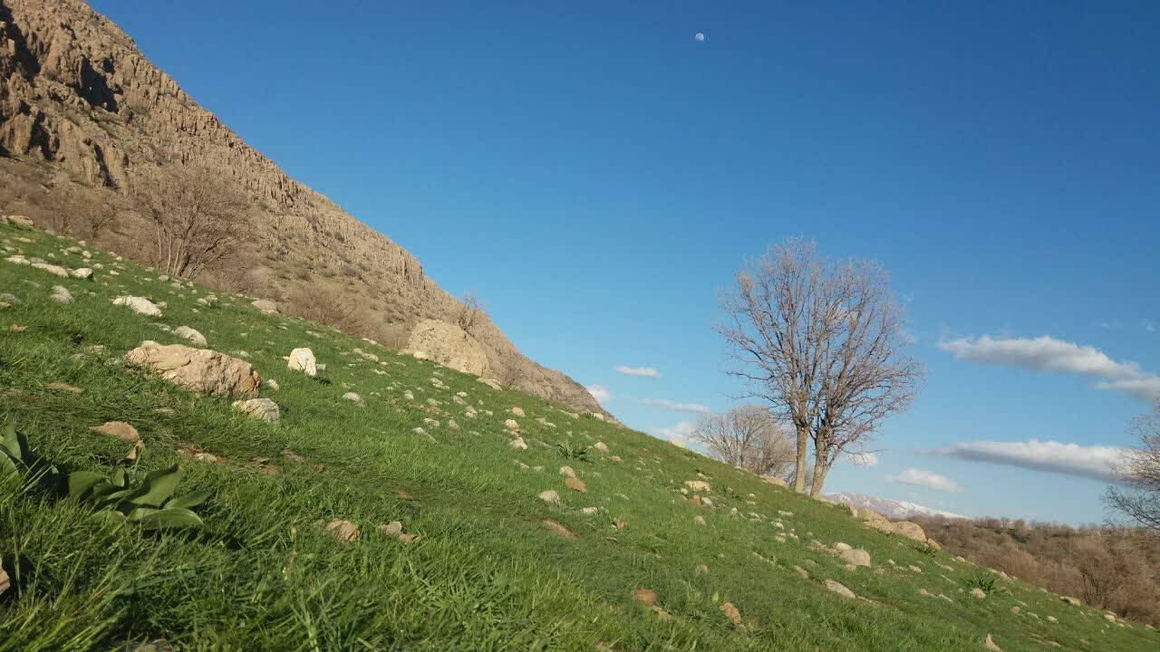 طبیعت بهاری