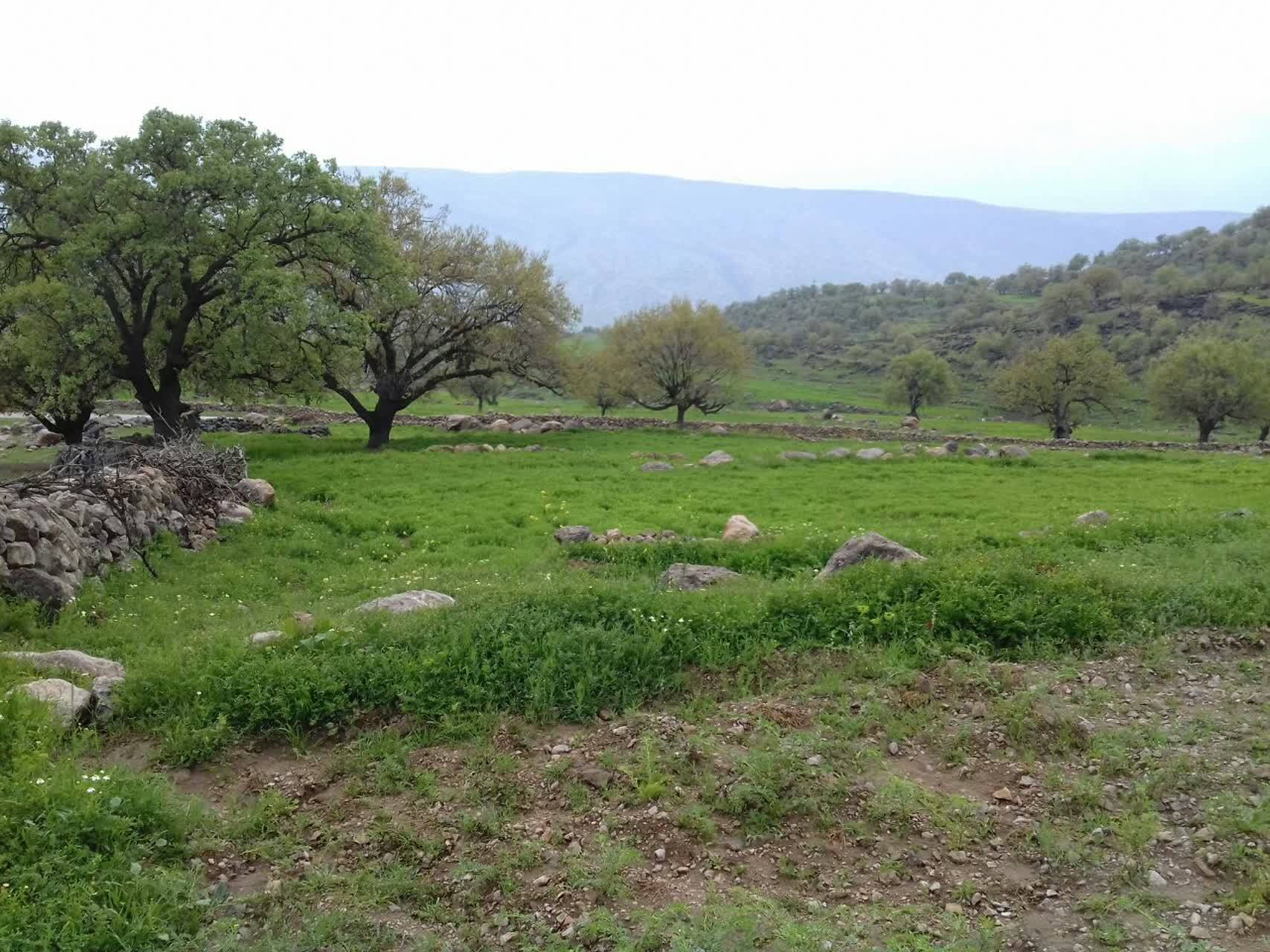 طبیعت