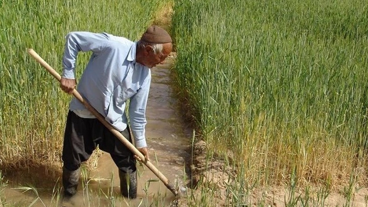کشت و کار در شرق اصفهان با آب زاینده رود