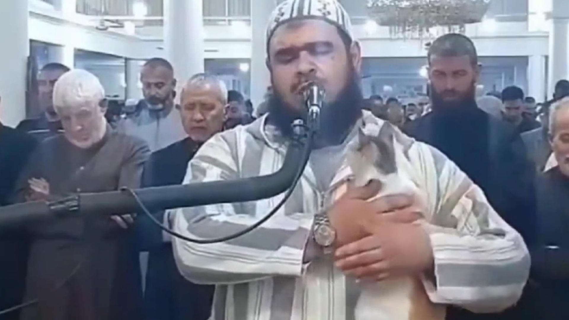 بازیگوشی یک گربه در نماز جماعت یک مسجد در الجزایر + فیلم