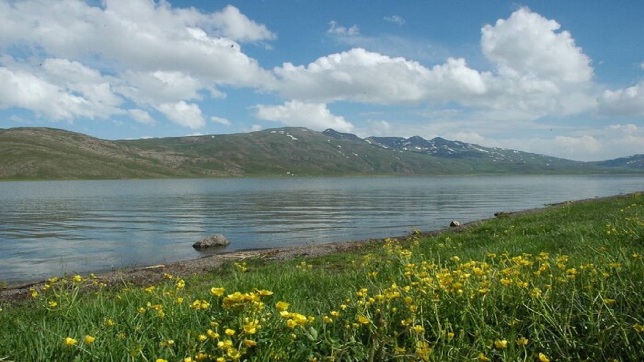 ۱۱ سد استان اردبیل به بخش خصوصی واگذار می‌شود
