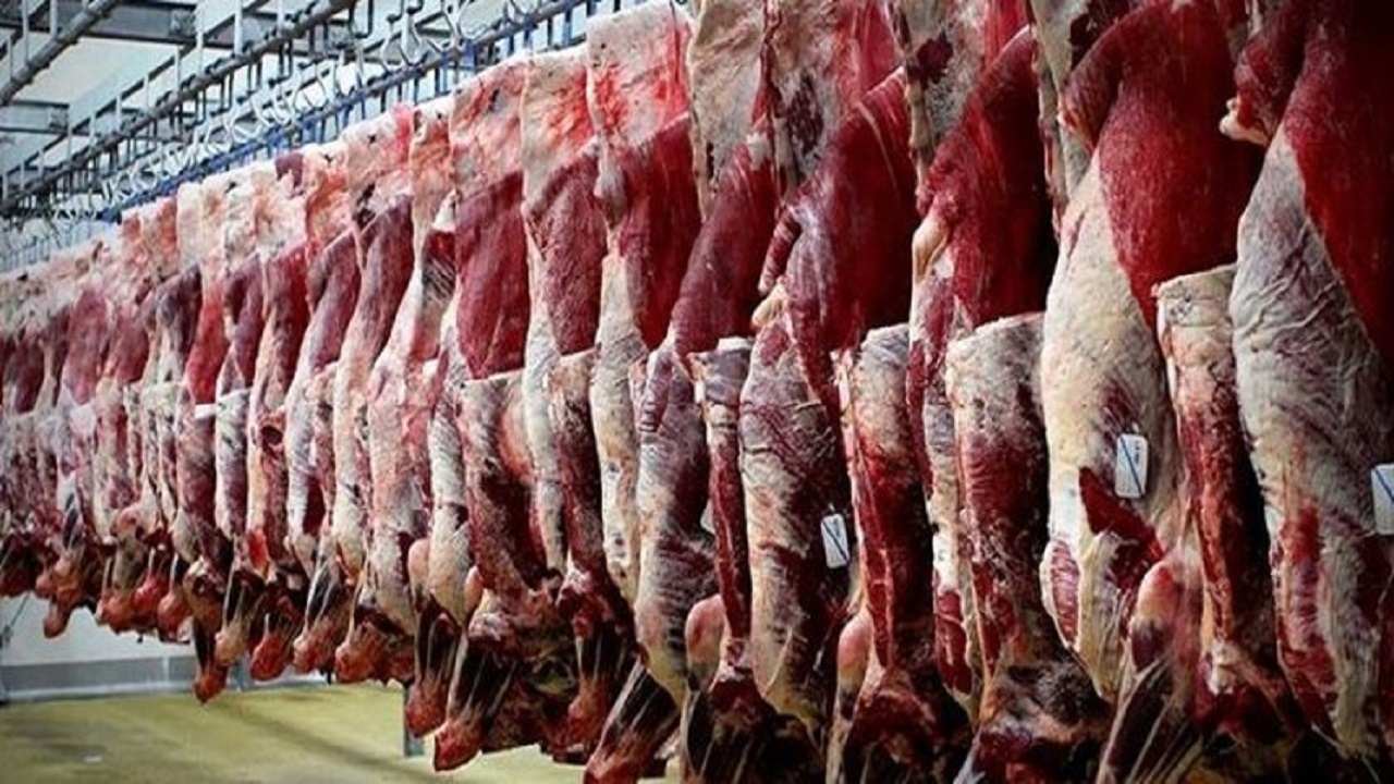 تولید بیش از ۲۵ هزار تن گوشت قرمز در استان همدان