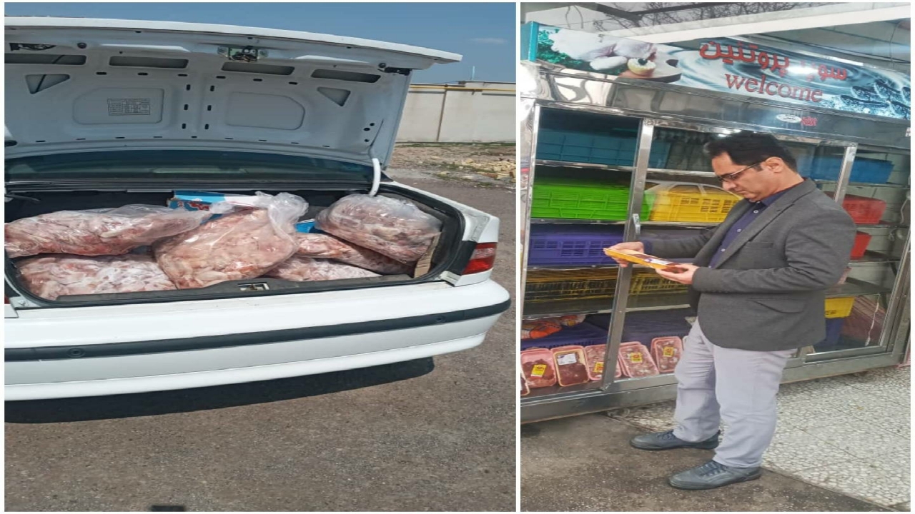 معدوم کردن ۱۲۰ کیلو بال و کتف مرغ بدون هویت در قزوین