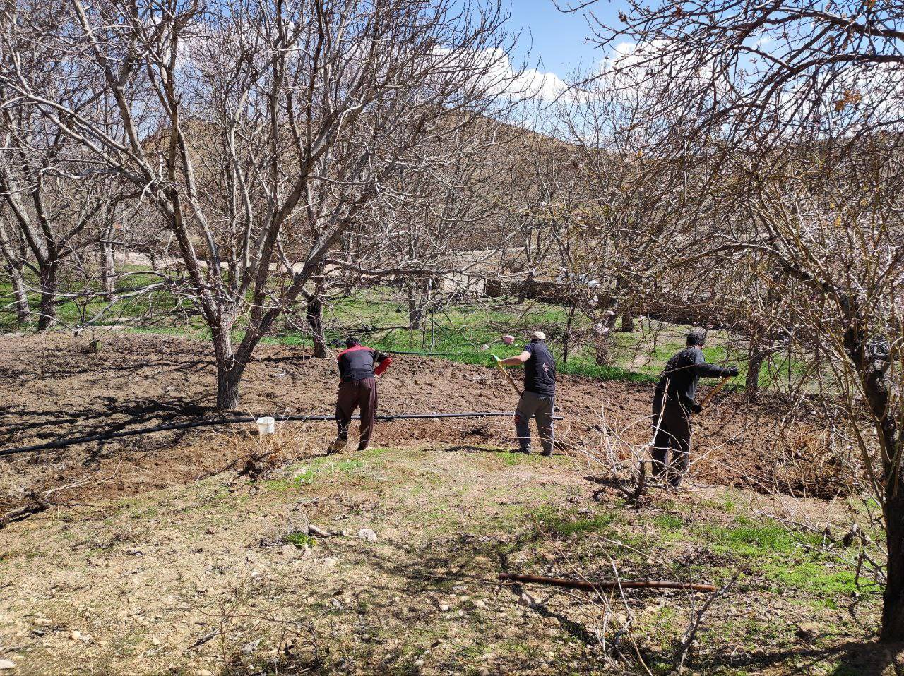 باغداران مشغول باغداری