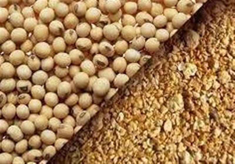 بازار کنجاله سویا آرام گرفت