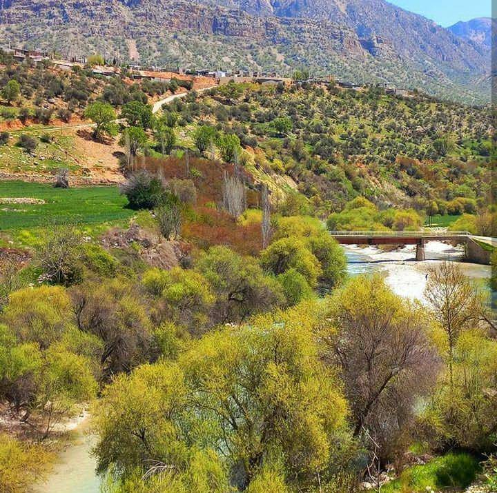 جاذبه طبیعی