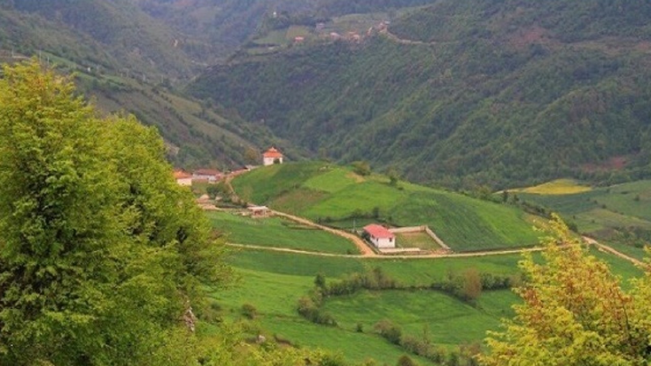 بهره مندی ۱۰۹ خانوار شهرستان نکا از اینترنت پر سرعت