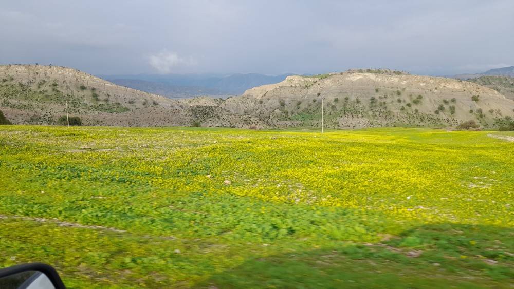 طبیعت بهاری