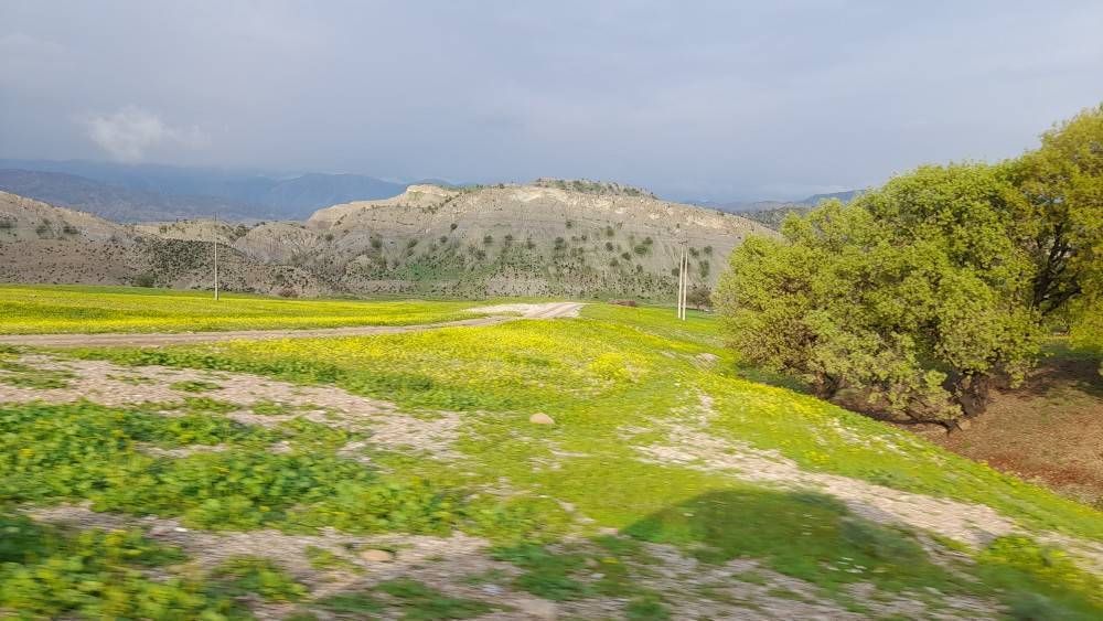 طبیعت سرسبز