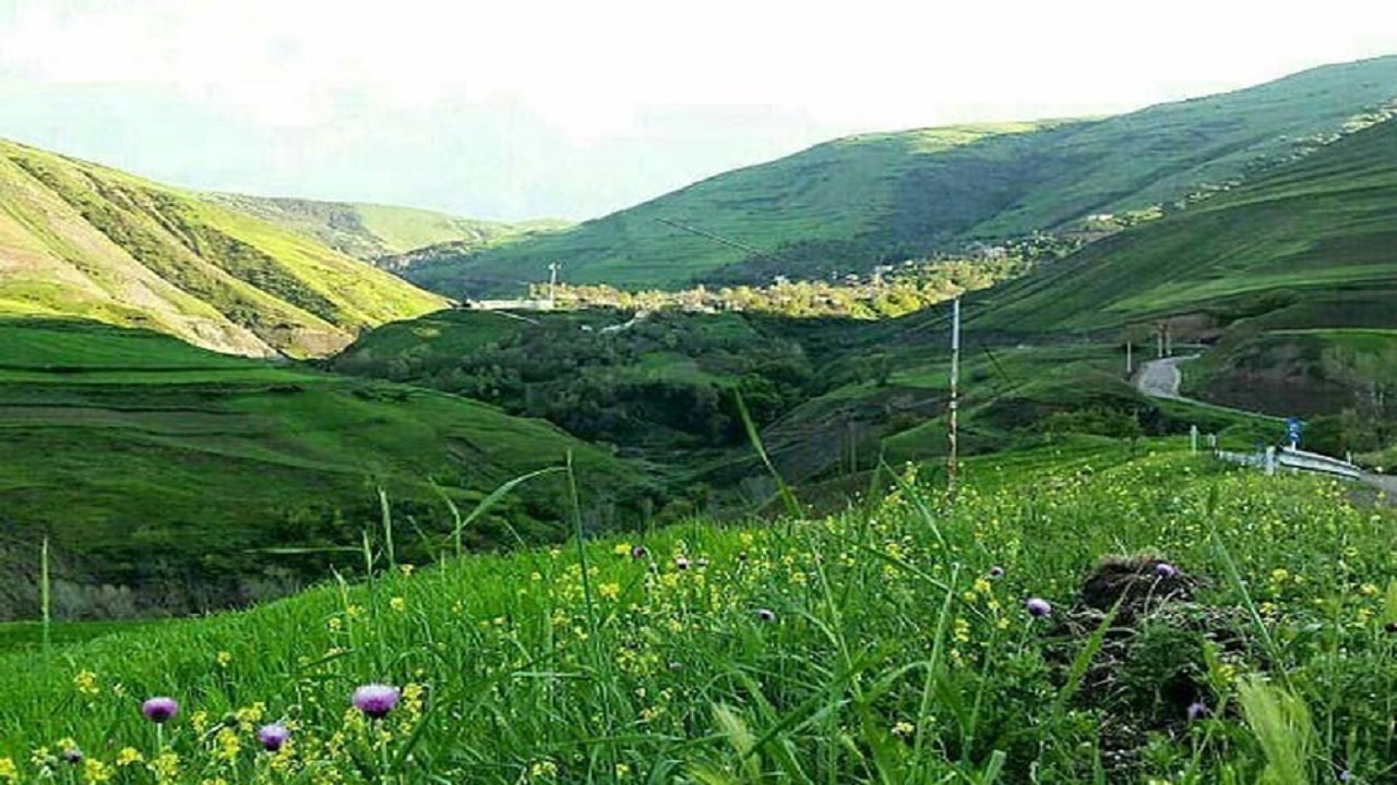 طبیعت بهاری شهر مرزی زهرا در لنز دوربین شهروندخبرنگار