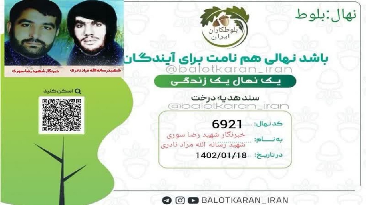 دو درخت بلوط به یاد شهدای رسانه نهاوند کاشته شد